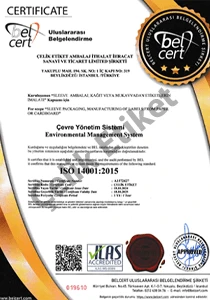 ISO 14001 çevre yönetim sistemi belgesi