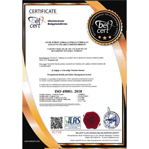 ISO 45001 iş sağlığı ve güvenliği yönetim sistemi belgesi